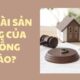 Tài sản chung của vợ chồng được chia khi nào