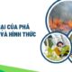 Tác hại của phá rừng và hình thức xử lý