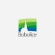 logo-Bobolice01p