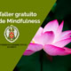 Taller de Mindfulness Gratuito.