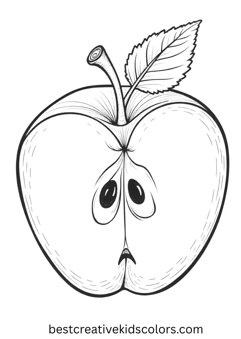 A simple diagram showing an apple’s seeds, core, and skin.