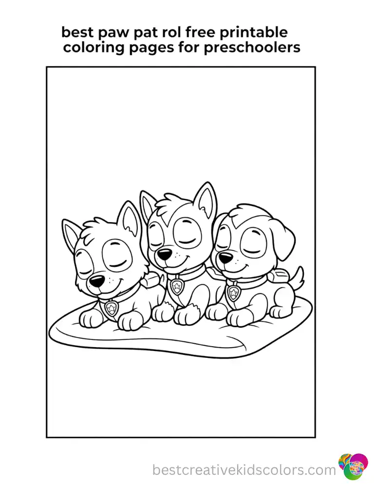 The Paw Patrol pups sleep peacefully side by side on a simple striped rug.
