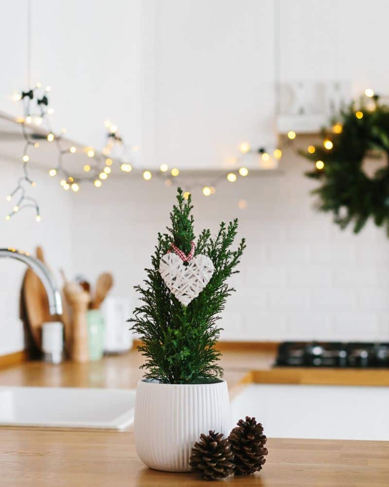 small christmas tree small christmas tree