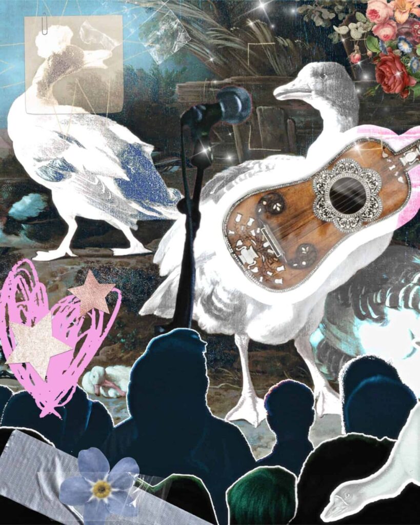 Geese and their record Psyop, in The Cold Magazine