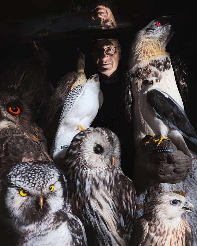Wunderkammer: No Country for Kestrels editorial for The Cold Magazine