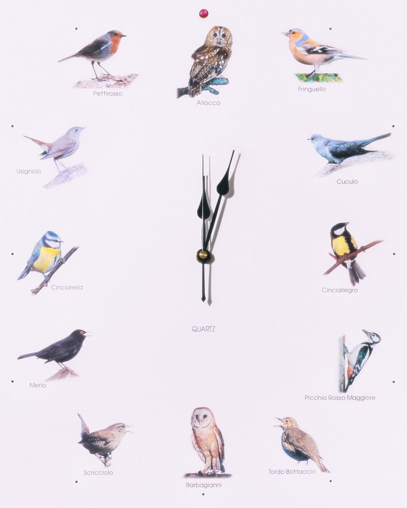 Wunderkammer: No Country for Kestrels editorial for The Cold Magazine — look 2