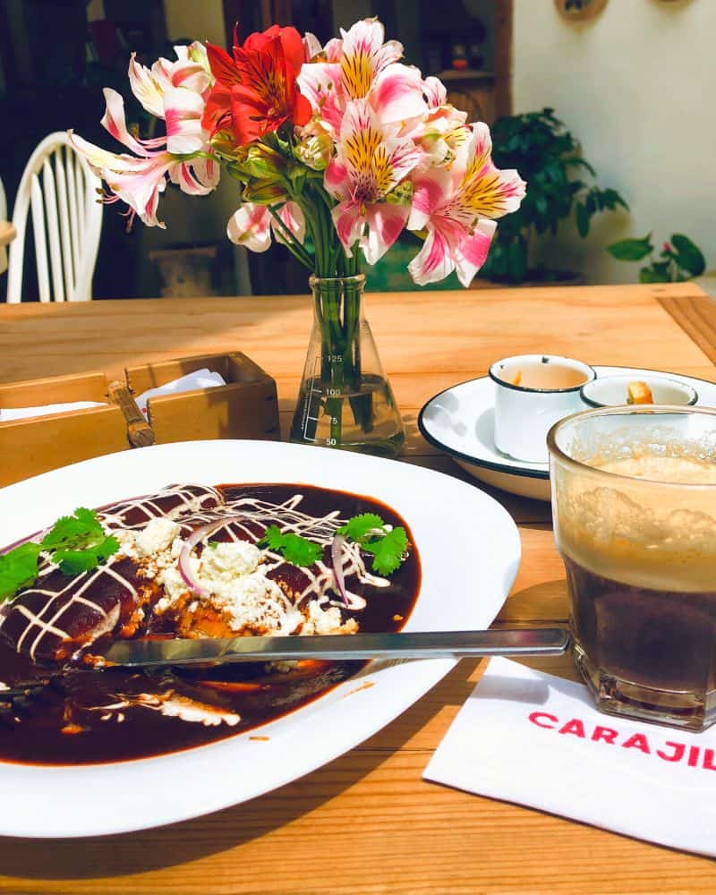 plate of enmoladas (mole enchiladas)