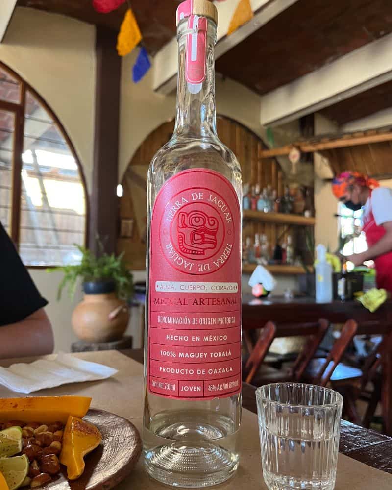 bottle of mezcal from oaxaca mexico
