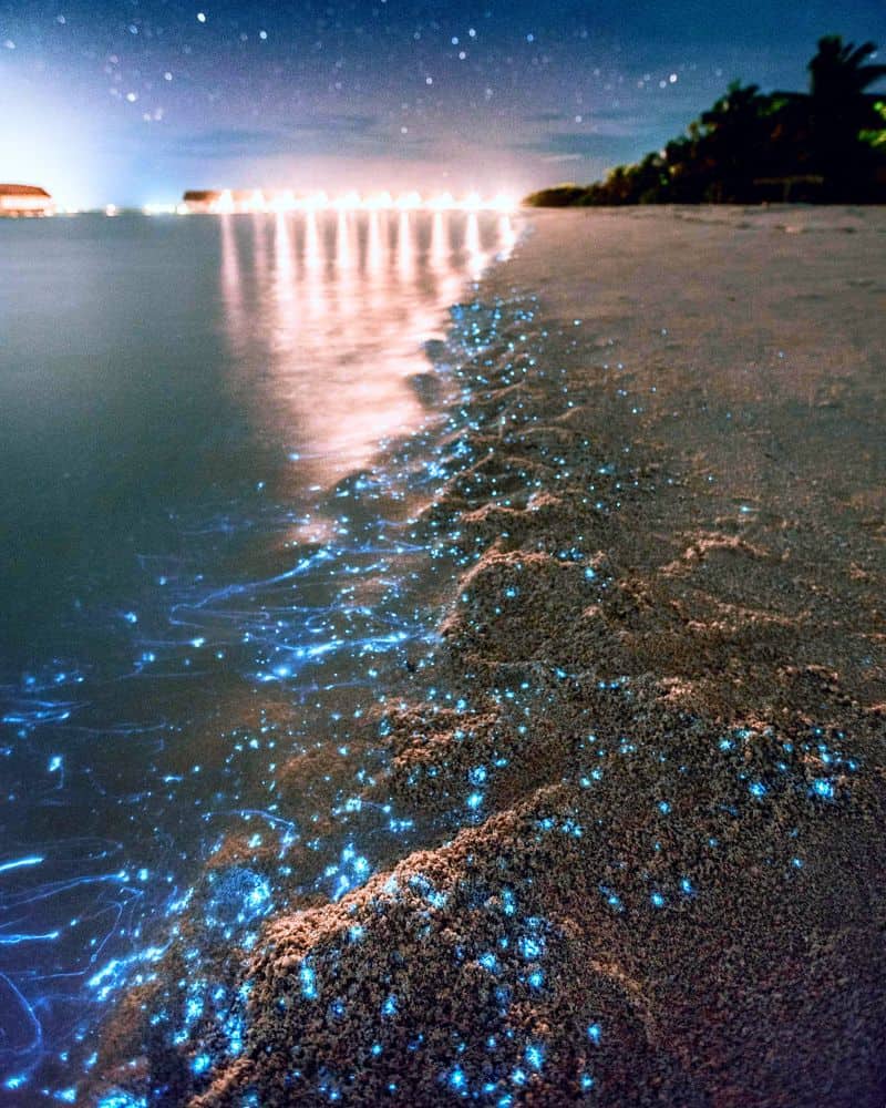 bioluminescent lagoon in puerto escondido oaxaca mexico (laguna manialtepec)