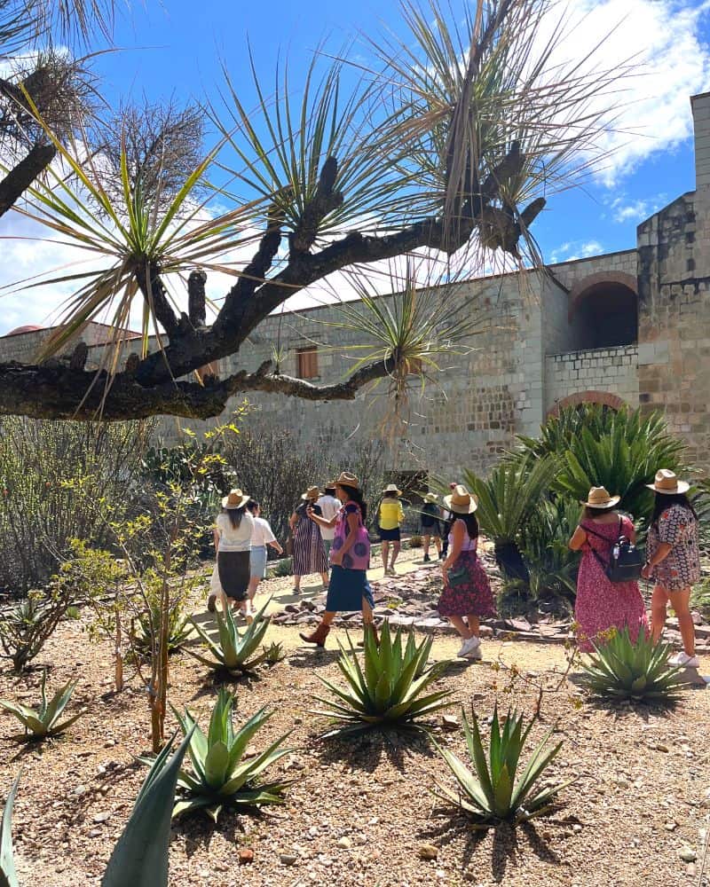 oaxaca tour of the botanical garden