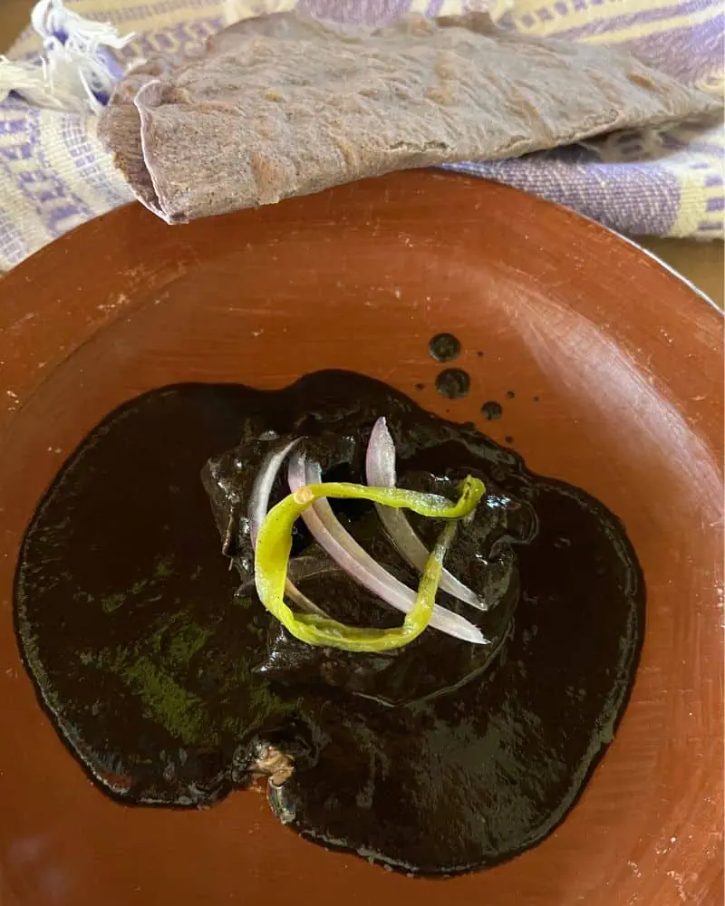 plate of mole negro (black mole)
