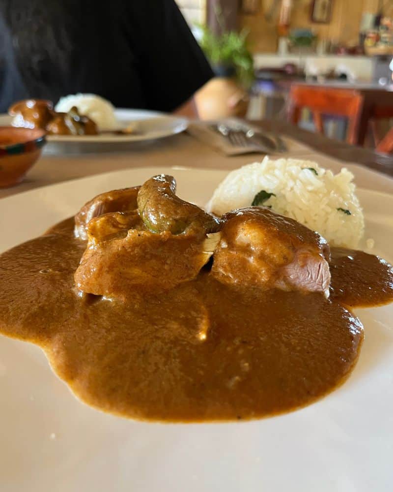 plate of mole coloradito (little red mole)