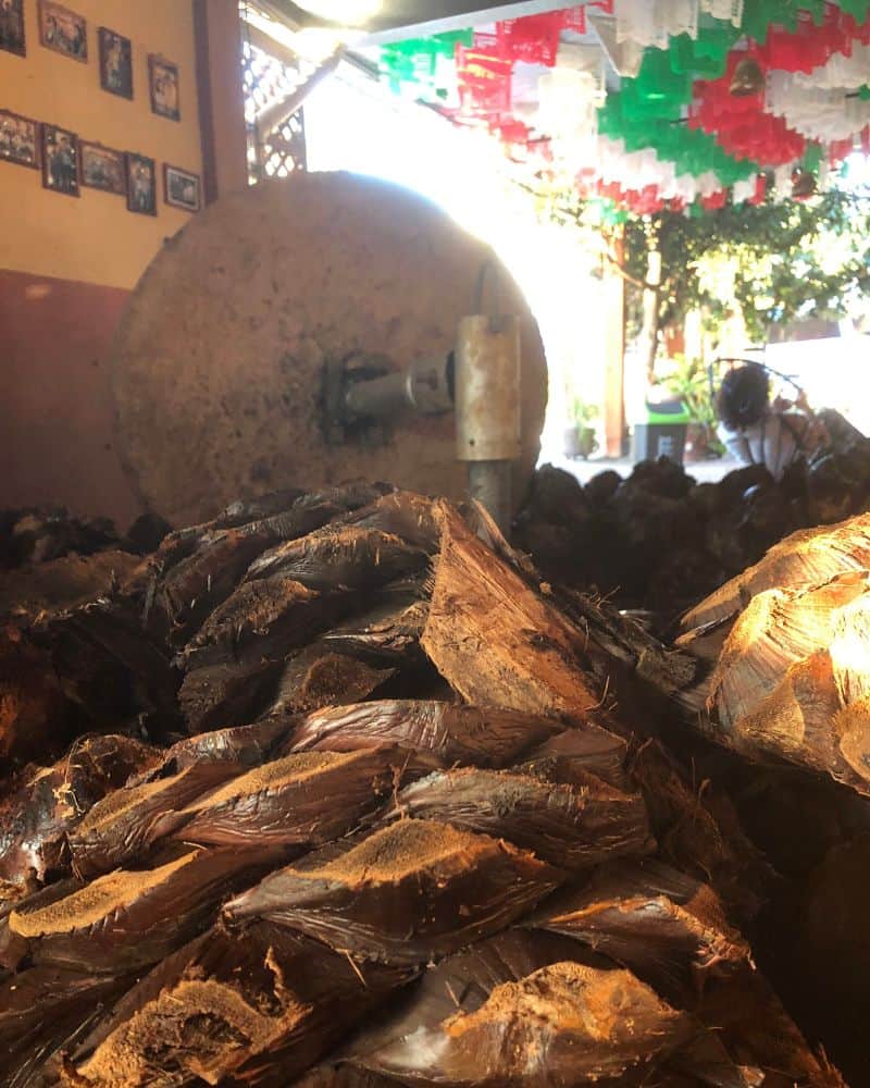 oaxaca mezcal distillery (palenque)