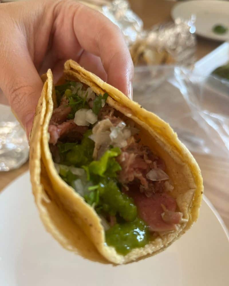 person holding a taco
