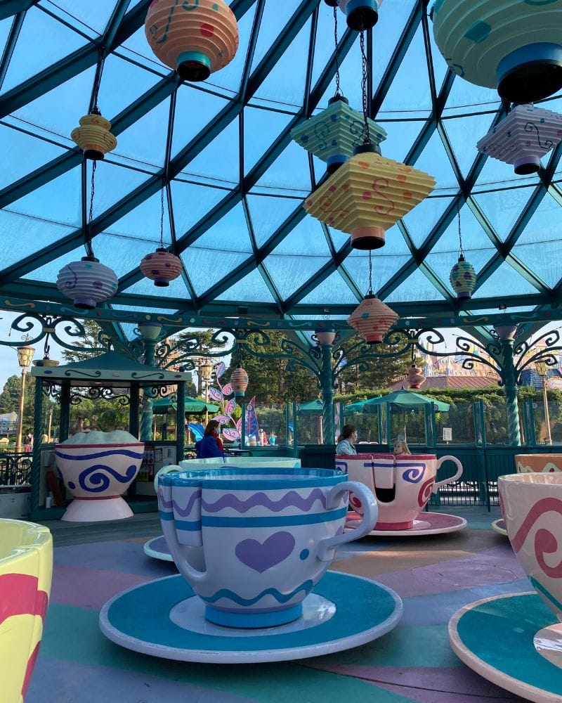 parco disneyland per adulti