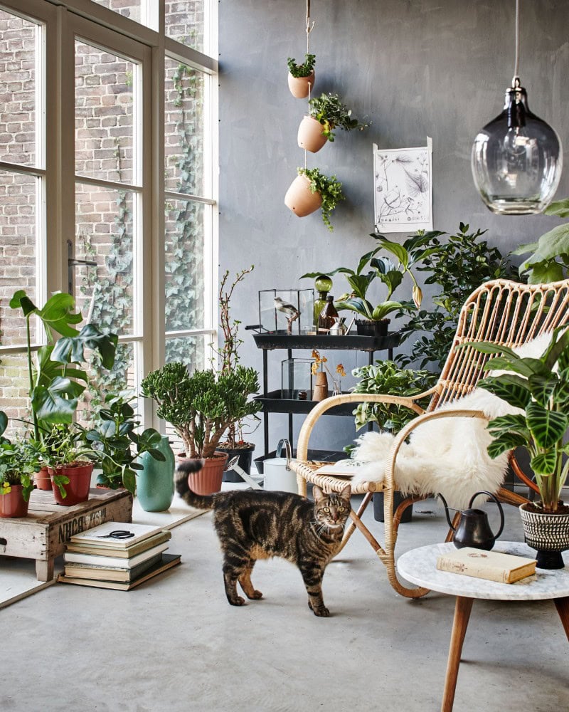 Here's 5 Interior Design Trends You Need To Succeed In 2020_1 interior design trends Here’s 5 Interior Design Trends You Need To Succeed In 2020 Heres 5 Interior Design Trends You Need To Succeed In 2020 1