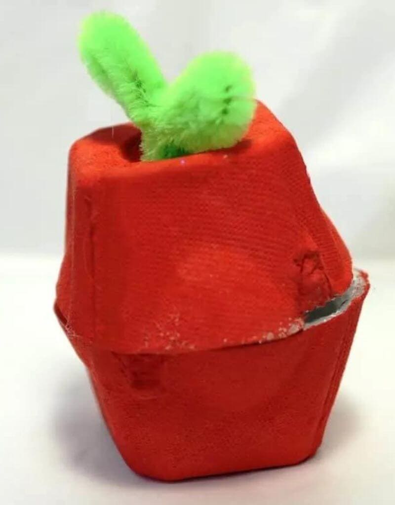 egg carton apple