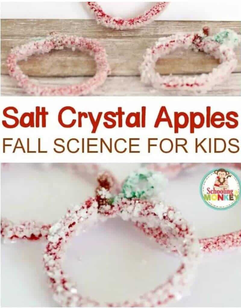 salt crystal apple craft