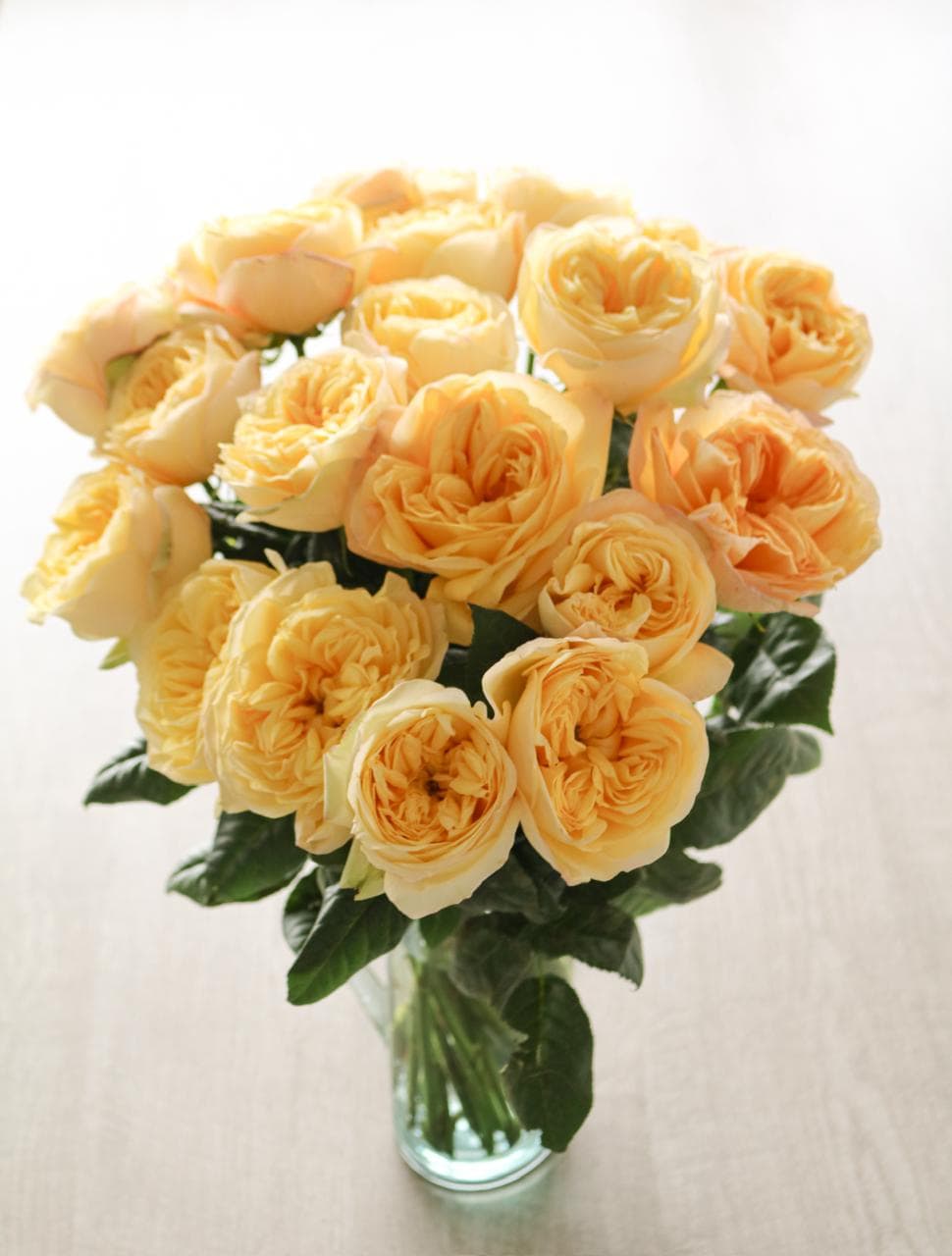 Sunny Xpression - Image 2