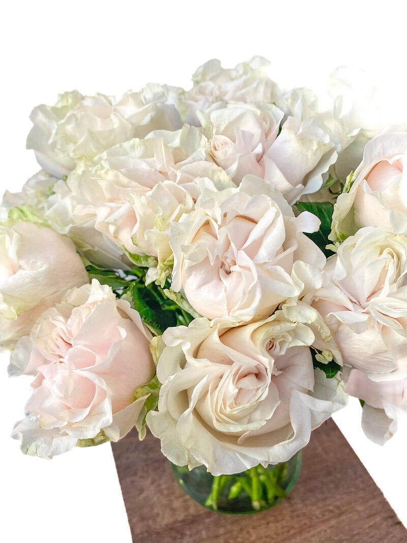 Cotton Xpression - Image 5