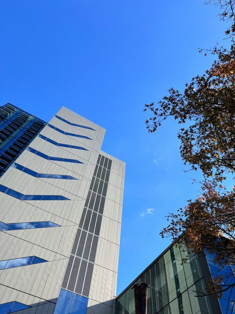 Moderne Architektur mit Glas- und Metallfassade vor klarem blauen Himmel, umrahmt von herbstlichen Baumzweigen.