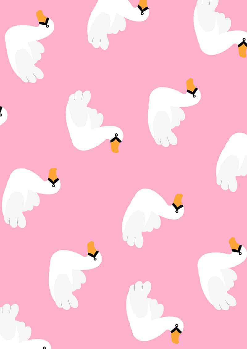 swan-pool-float-wrapping-paper-christmas-gift-wrap