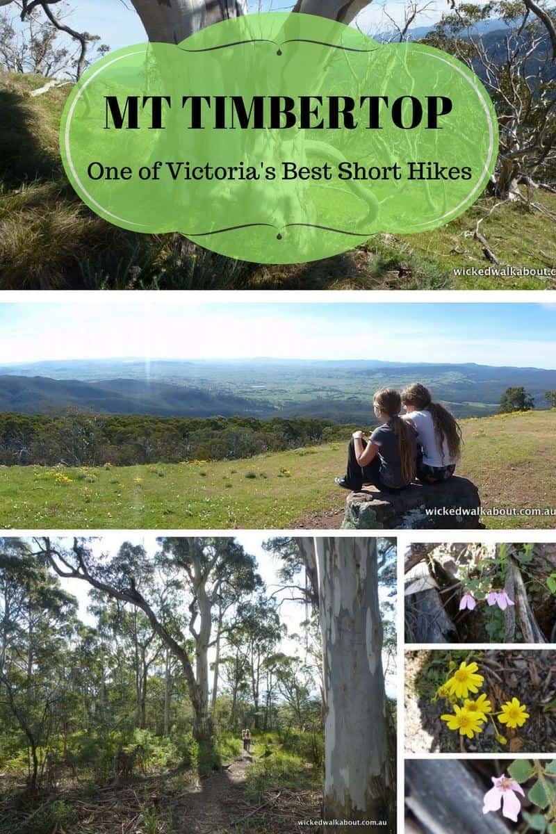 Mt Timbertop, Merrijig, Victoria