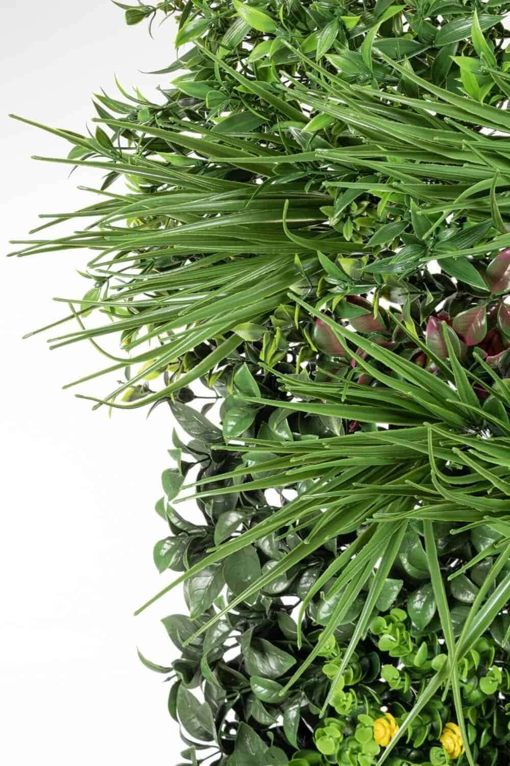 Piante in vaso con foglie lucide e varie sfumature di verde, ideale per decorazioni naturali.