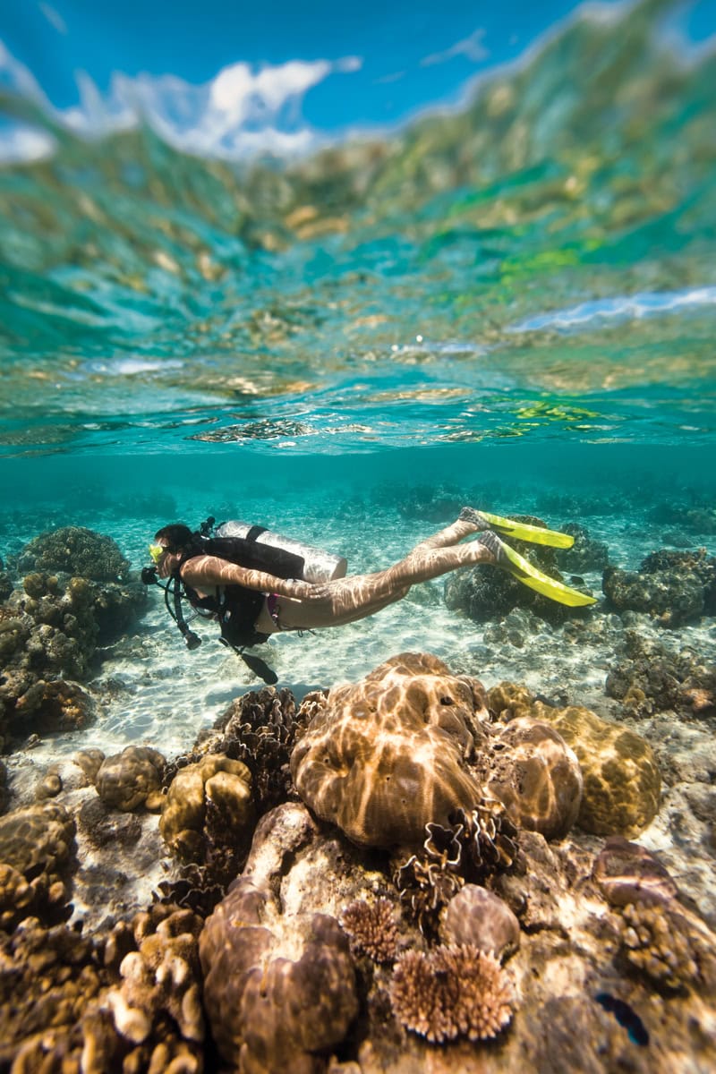 Diver Shallow Try Scuba Diving