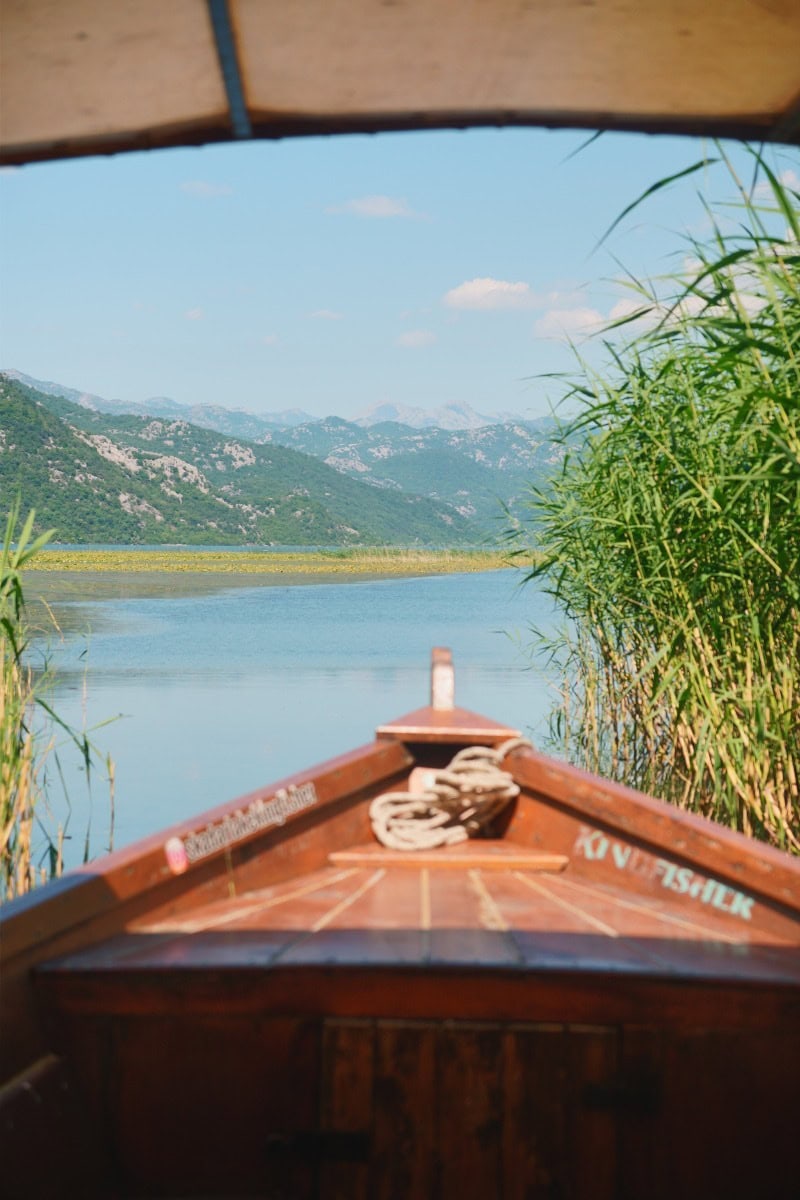 wooden_boat_between_reeds_lake_skadar_montenegro View of wooden boat navigating a reed channel near Virpazar opening up to Lake Skadar, Montenegro