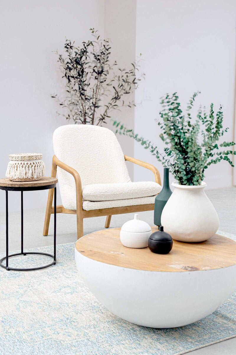 Decorazioni di stile minimalista con vasi di design e piante eleganti.