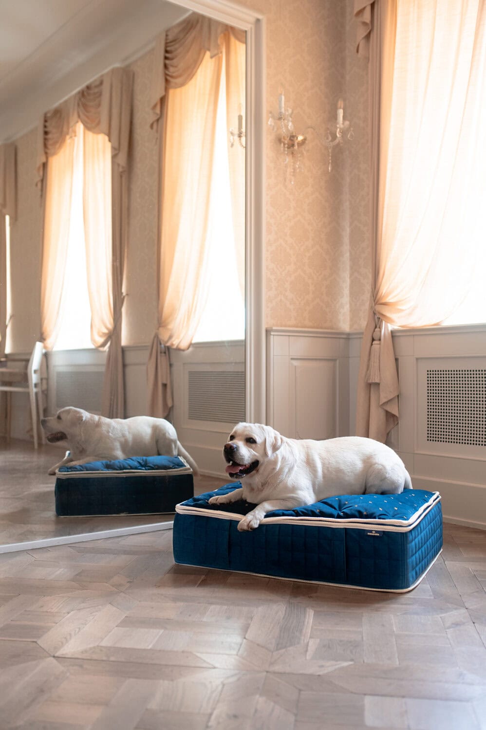Windsor Mattress - Indigo, pet bed, dog bed