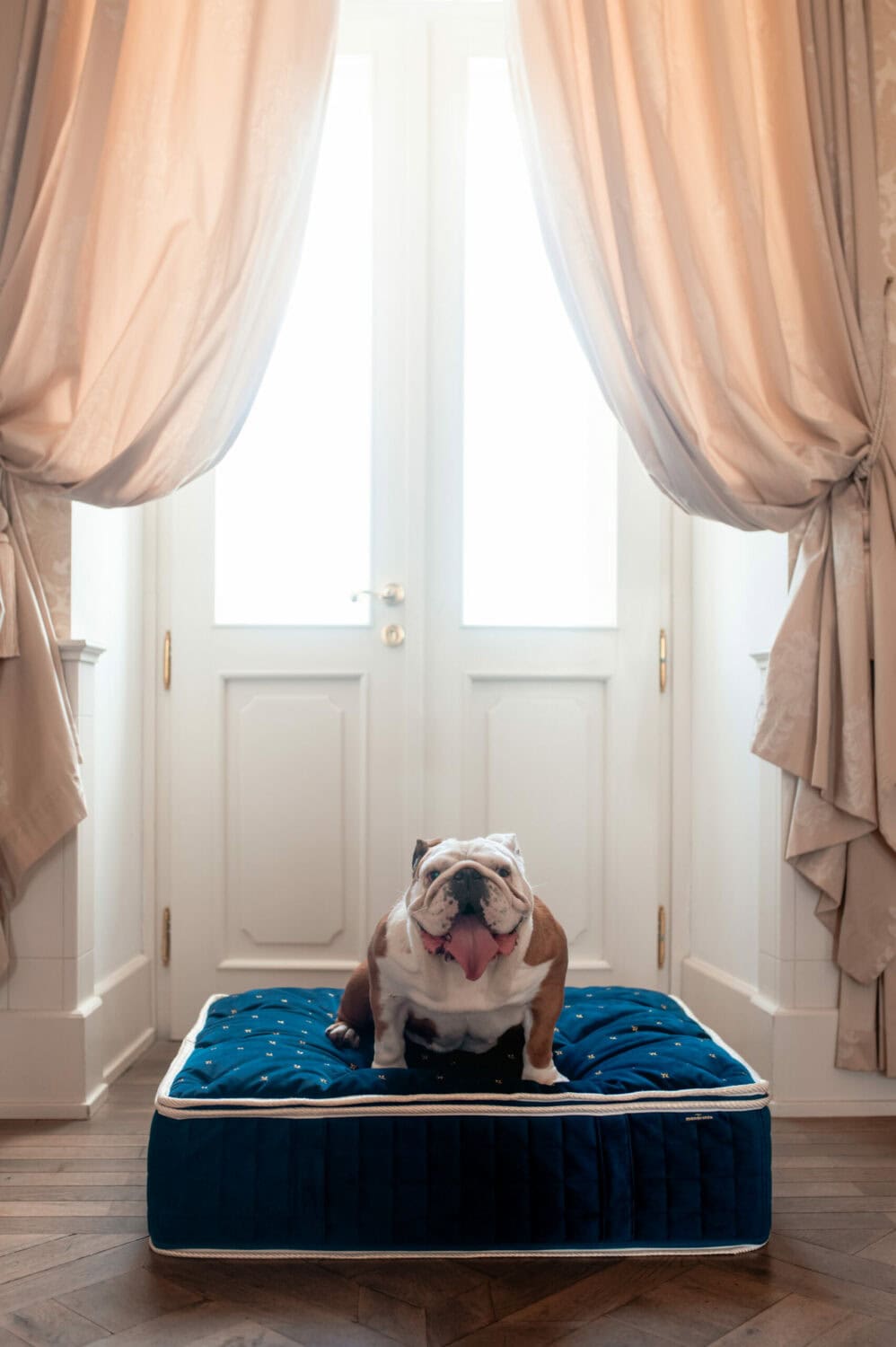 Windsor Mattress - Indigo, pet bed, dog bed