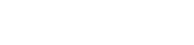 OPTIMUS_logo_white