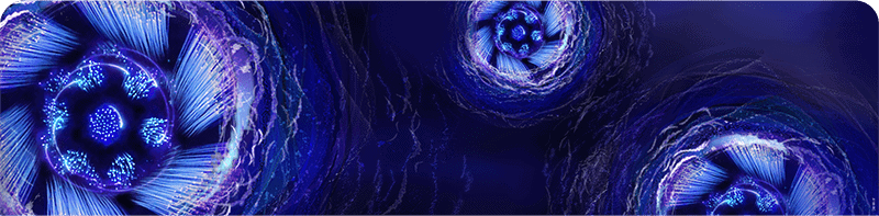 Beispiel Backcard Oral B