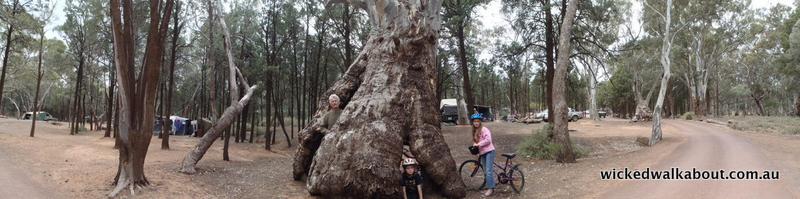 Flinders Ranges, South Australia