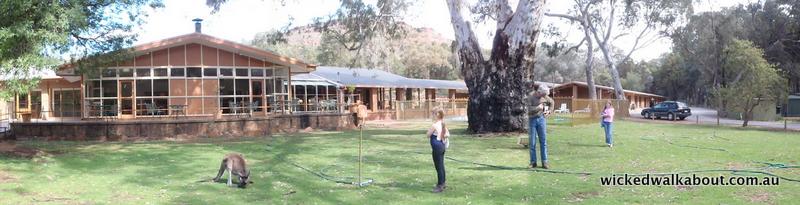 Flinders Ranges, South Australia
