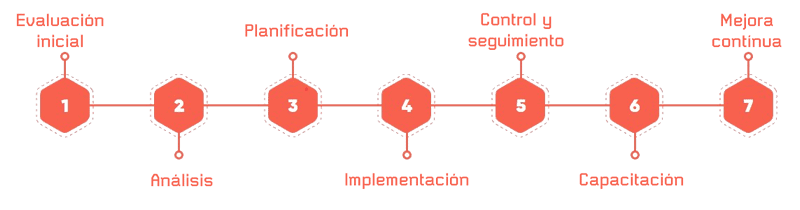 proceso-consultoria
