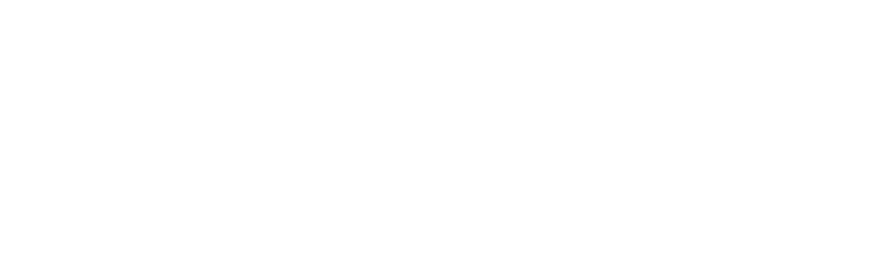 logo IDIMEX