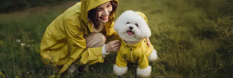 Monsoon Pet Care Guide: Expert Tips to Protect Dogs and Cats from Rainy Season Diseases