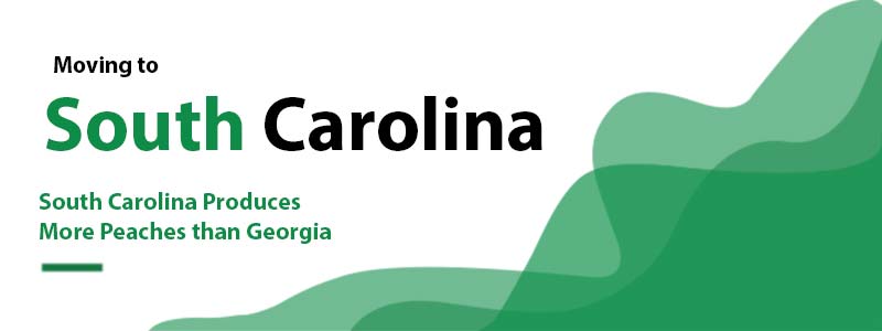 moving companies to south carolina