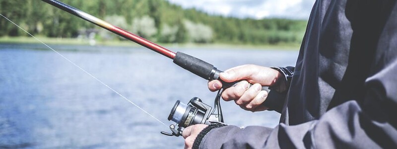 person-fishing-294674