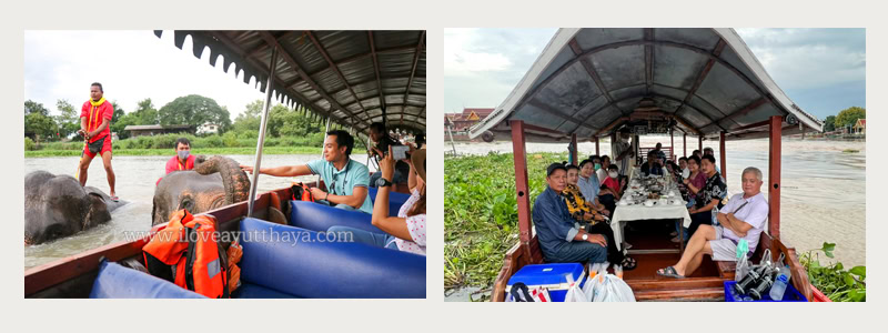 ล่องเรือทานอาหาร-ชมช้าง