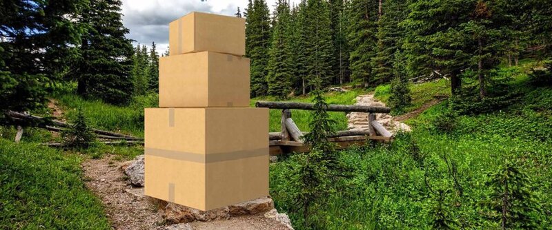 professinal movers in colorado