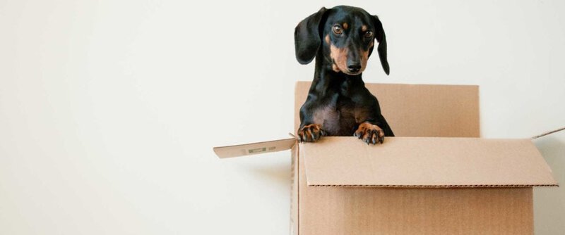 moving tips to make it easer