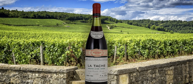 Enjoy probably the most famous wine region in the world on our Burgundy wine tours