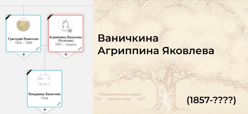 ваничкина агриппина яковлева