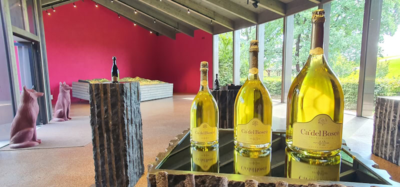 Ca del Bosco is one of the most famous Franciacorta wineries