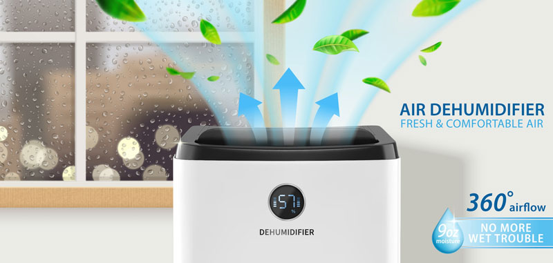 dehumidifier