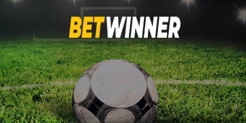 รีวิว BetWinner